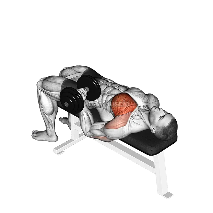 Dumbbell Lying One Arm Press demonstration