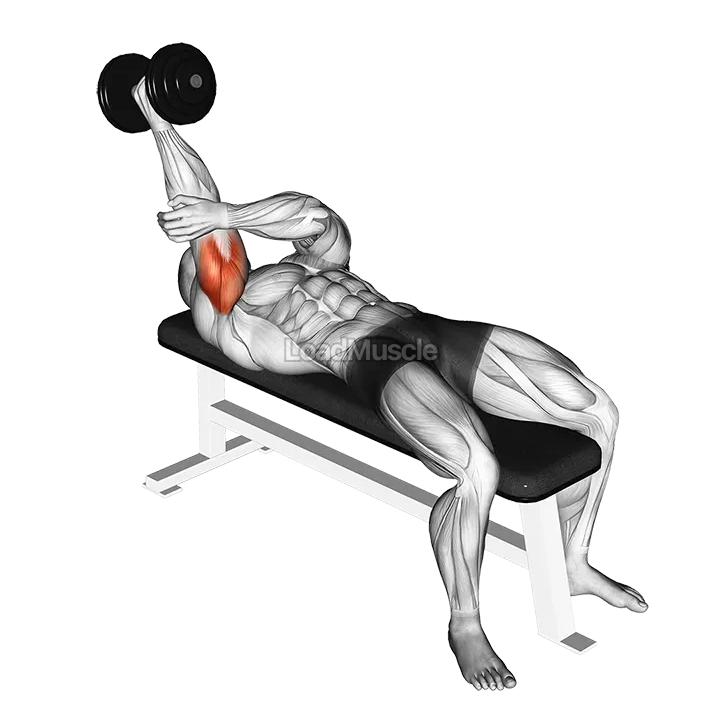 Dumbbell Lying One Arm Supinated Triceps Extension demonstration