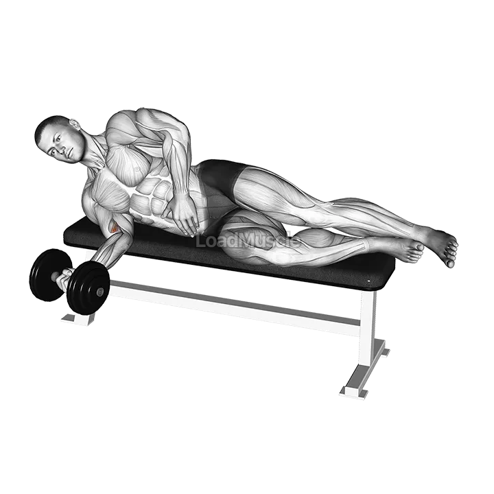 Dumbbell Lying Pronation demonstration