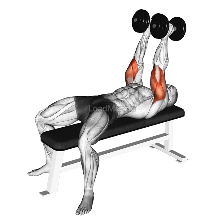Dumbbell Neutral Grip Bench Press demonstration