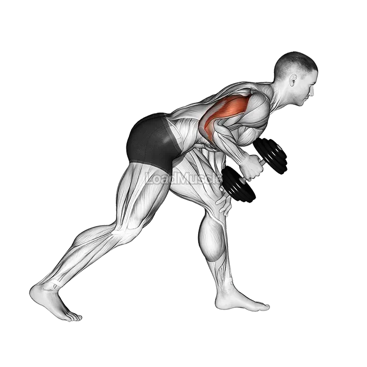 Dumbbell One Arm Kickback demonstration