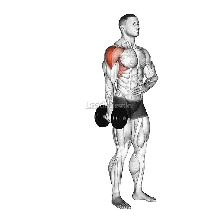 Dumbbell One Arm Lateral Raise demonstration