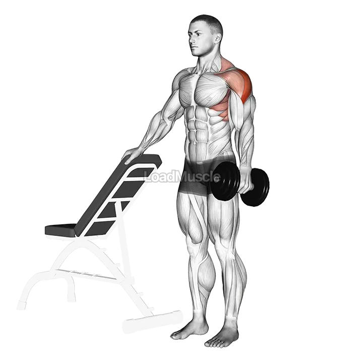 Dumbbell One Arm Lateral Raise demonstration