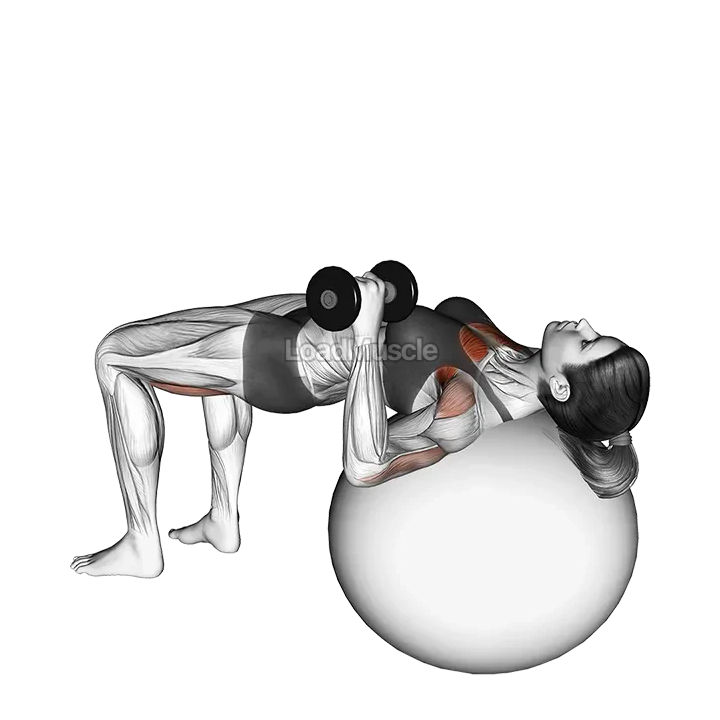 Dumbbell One Arm Press (on stability ball) demonstration
