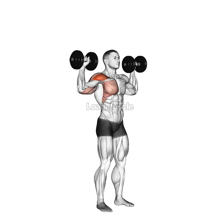 Dumbbell One Arm Shoulder Press demonstration