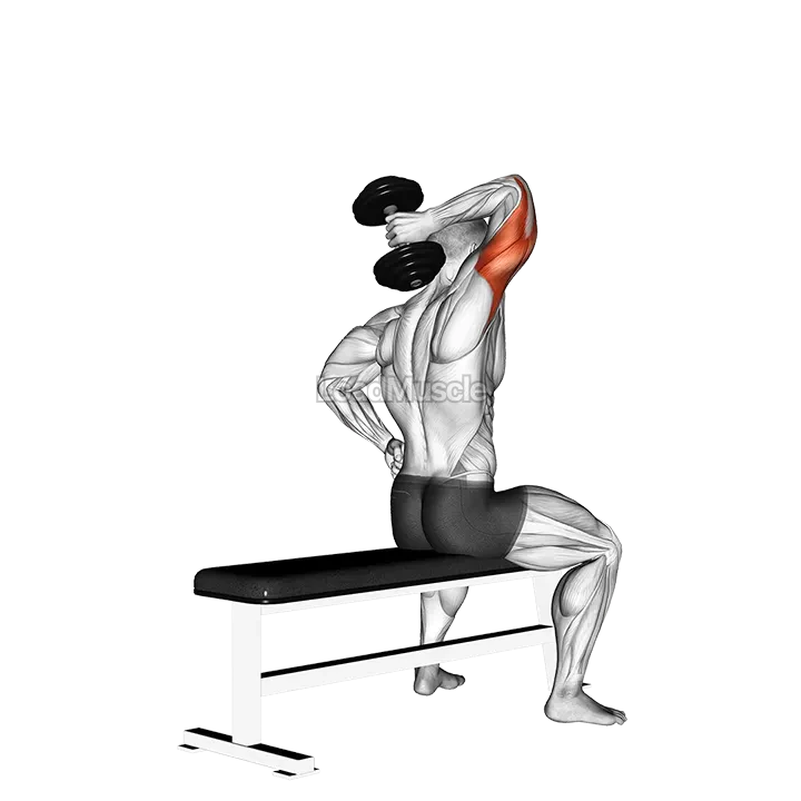 Dumbbell One Arm Triceps Extension (on bench) demonstration