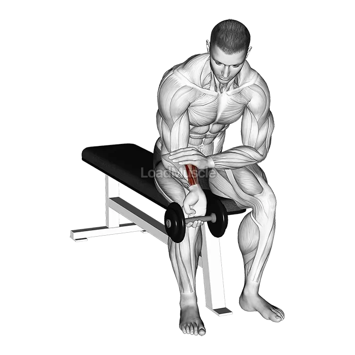 Dumbbell One arm Wrist Curl demonstration