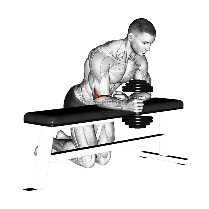 Dumbbell Over Bench One Arm Neutral Wrist Curl demonstration