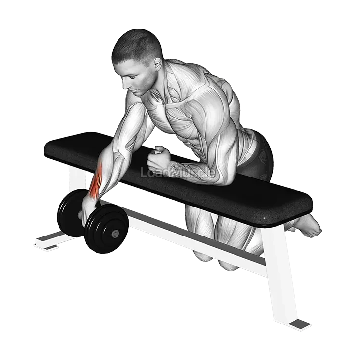 Dumbbell Over Bench One Arm Wrist Curl demonstration