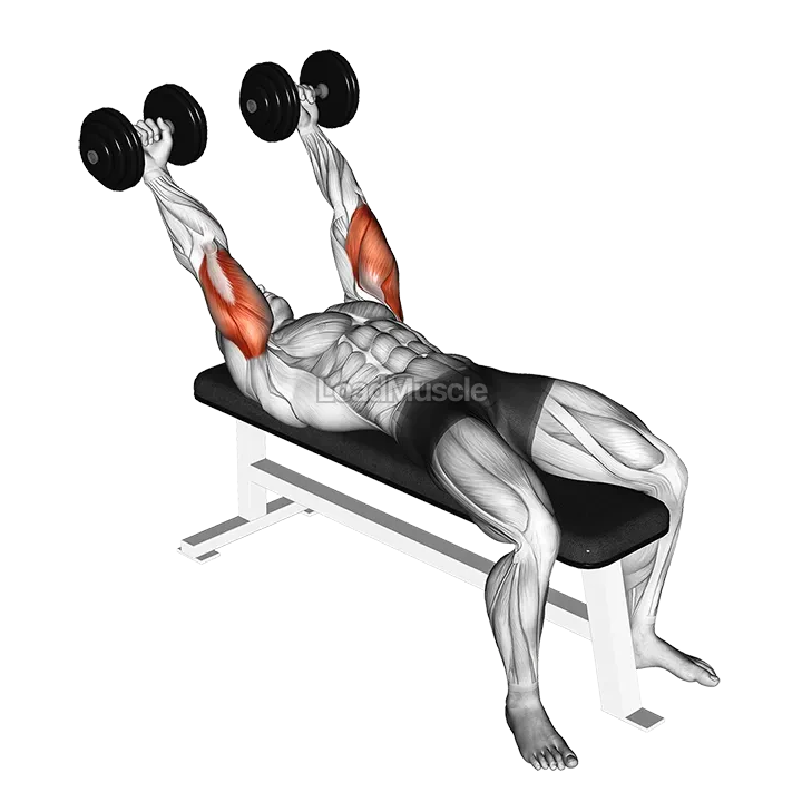 Dumbbell Pronate grip Triceps Extension demonstration