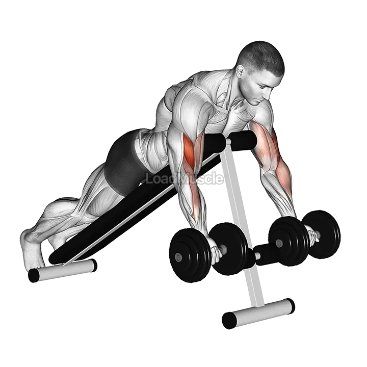 Dumbbell Prone Incline Curl demonstration