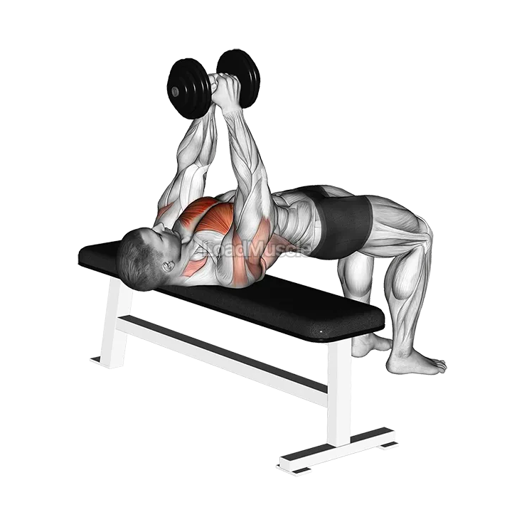 Dumbbell Pullover demonstration