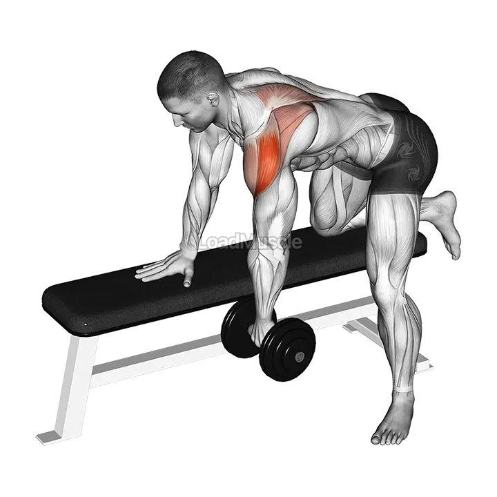 Dumbbell Rear Delt Row demonstration