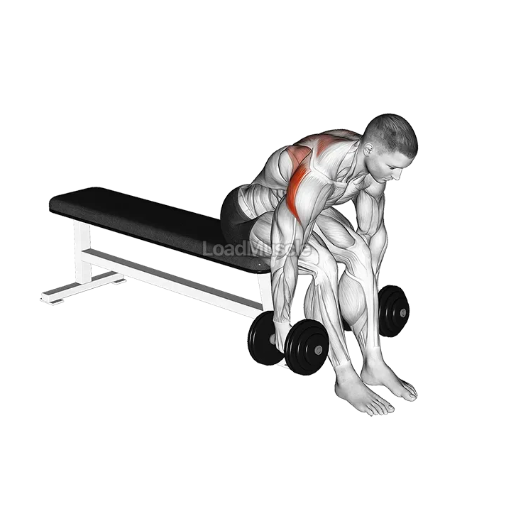 Dumbbell Rear Fly demonstration