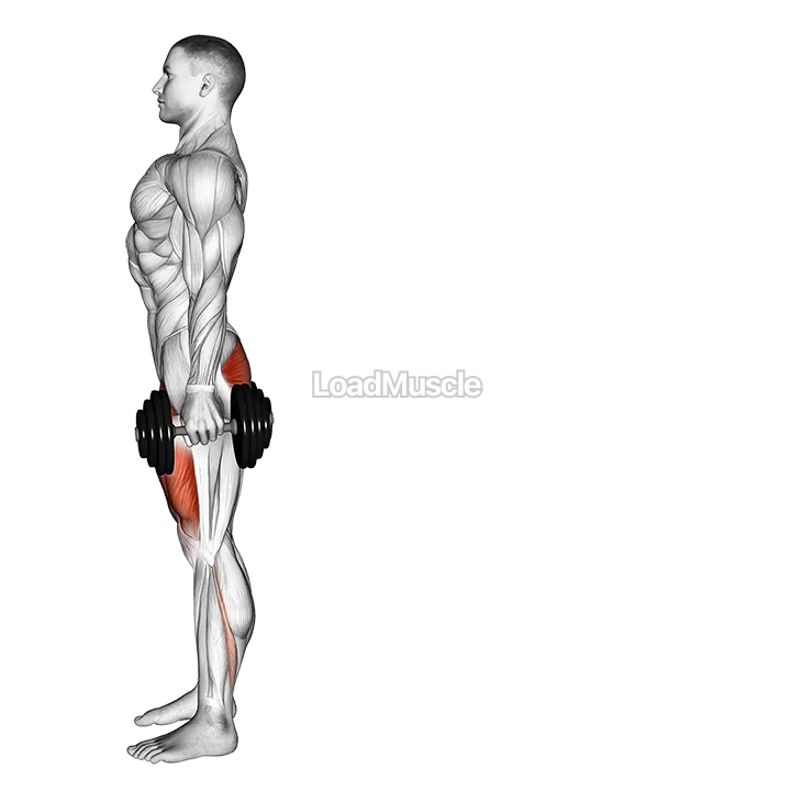 Dumbbell Rear Lunge demonstration