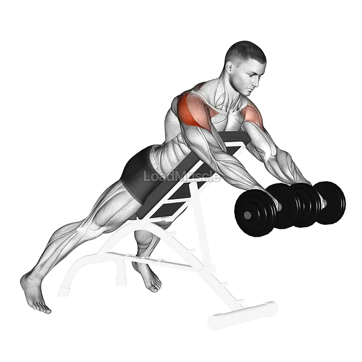 Dumbbell Rotation Reverse Fly demonstration