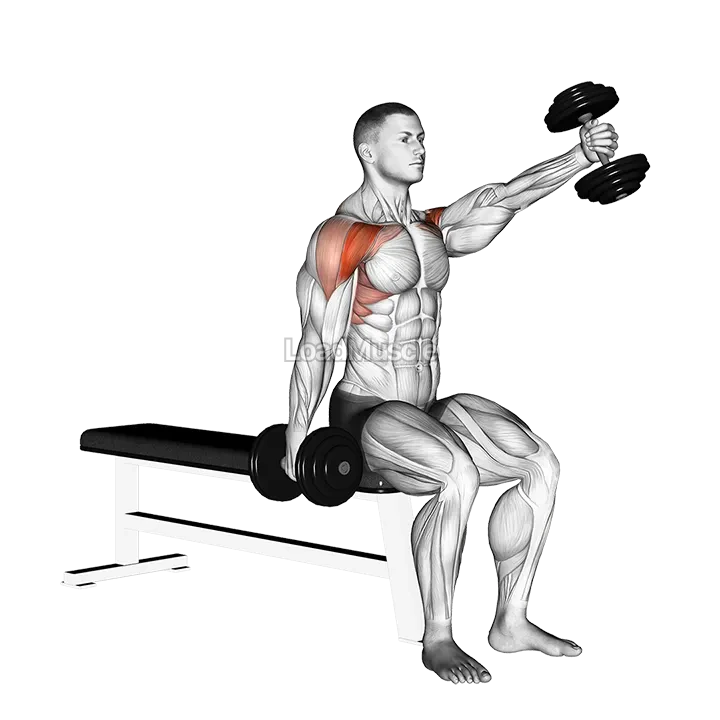 Dumbbell Seated Alternate Front Raise demonstration