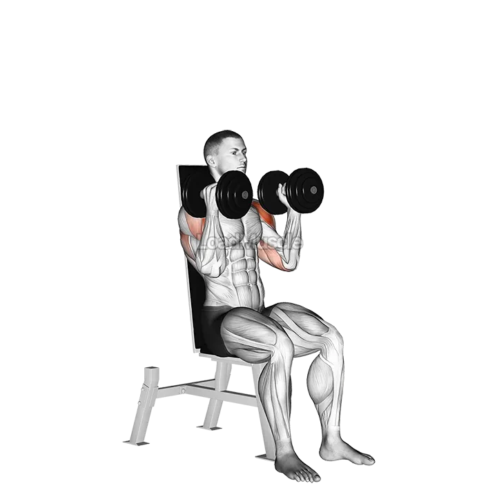 Dumbbell Seated Alternate Press demonstration