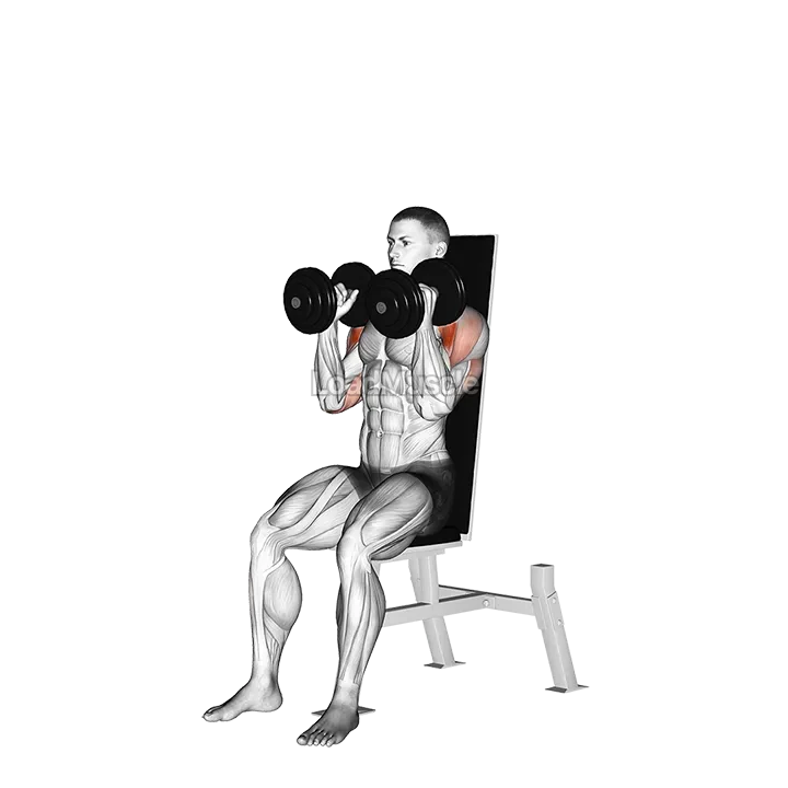 Dumbbell Seated Shoulder Press (parallel grip) demonstration