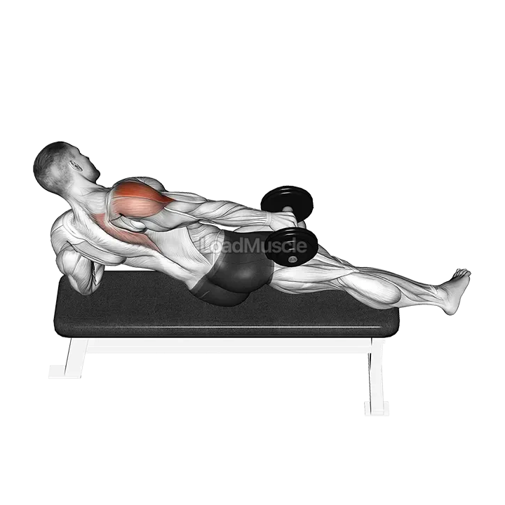 Dumbbell Side Lying One Hand Raise demonstration