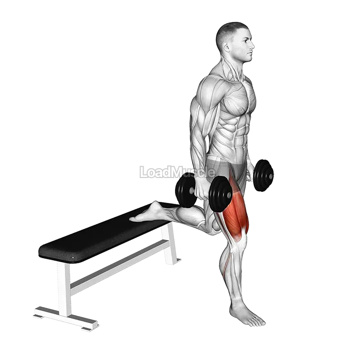 Dumbbell Single Leg Split Squat demonstration