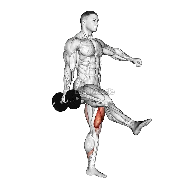Dumbbell Single Leg Squat demonstration
