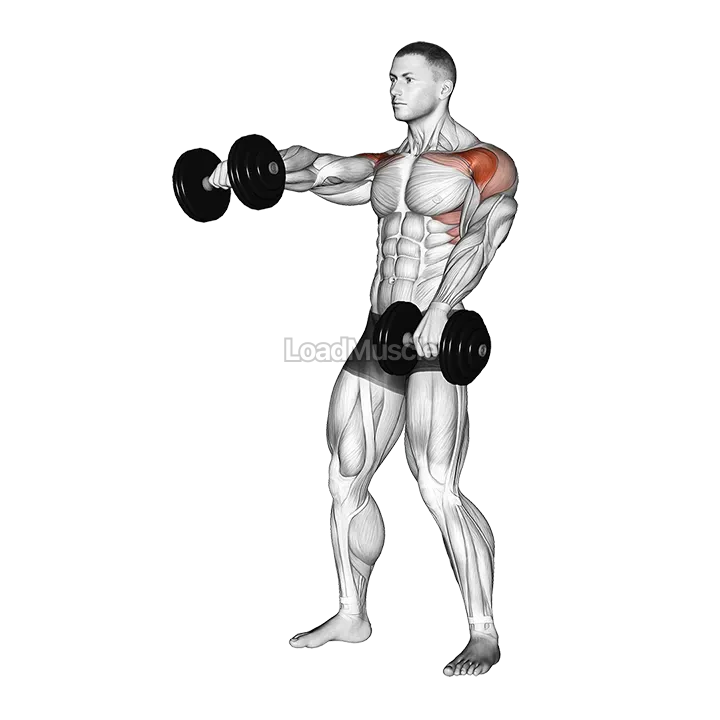 Dumbbell Standing Alternate Raise demonstration