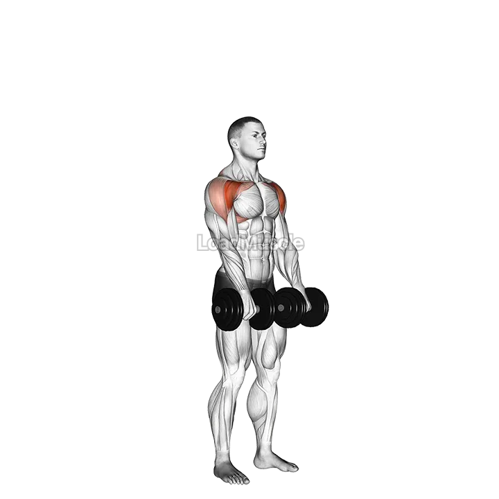 Dumbbell Standing Front Raise Above Head demonstration