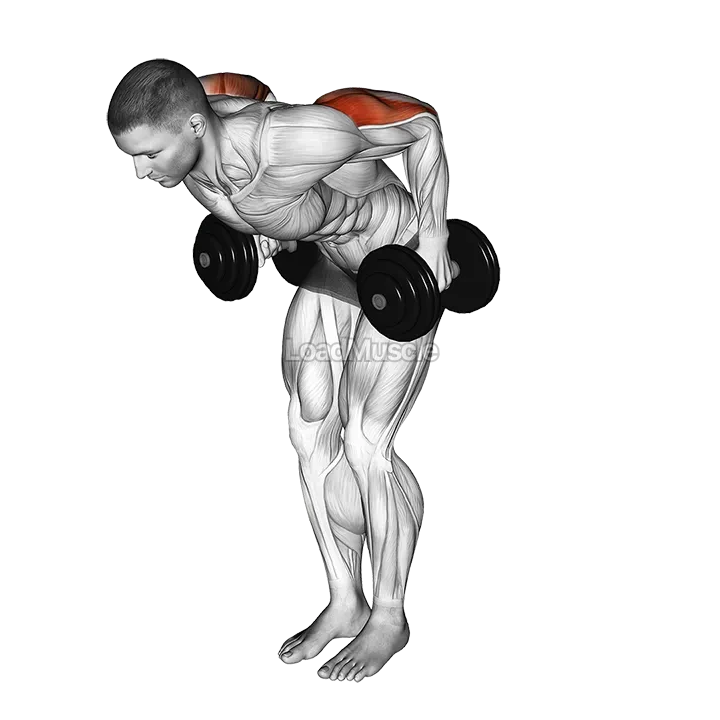 Dumbbell Standing Kickback demonstration