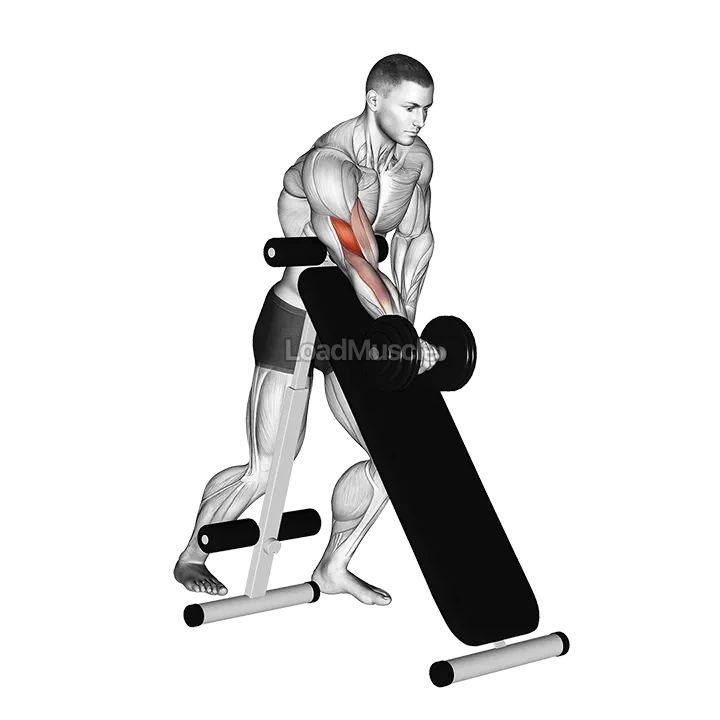 Dumbbell Standing One Arm Curl (over incline bench) demonstration