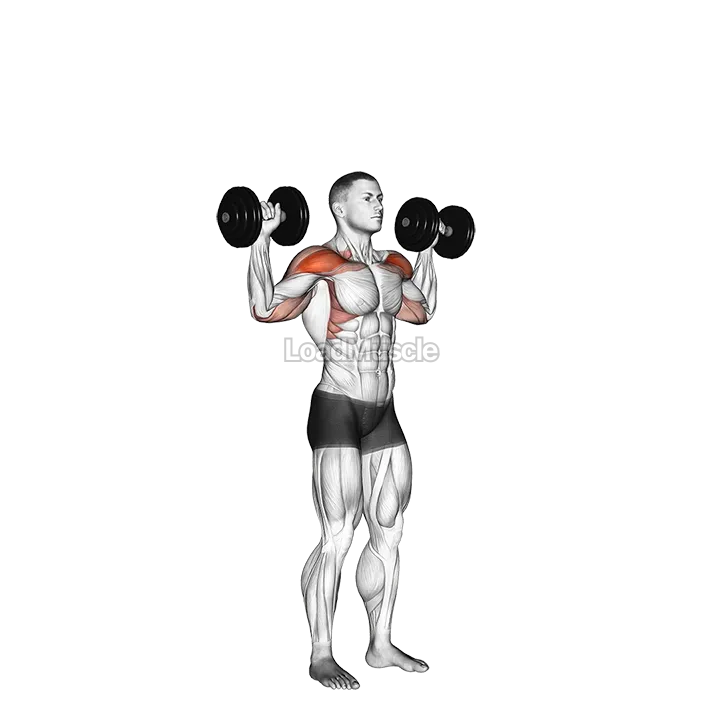 Dumbbell Standing Overhead Press demonstration