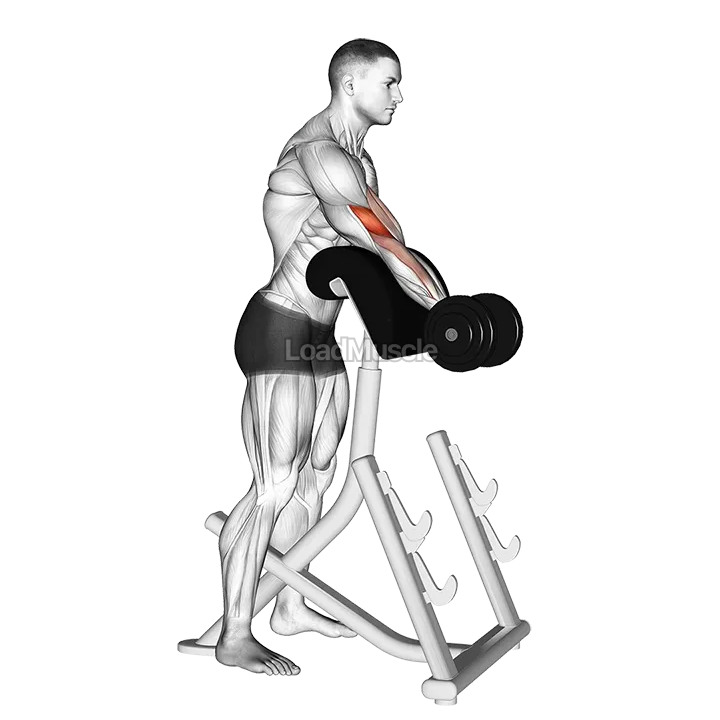Dumbbell Standing Preacher Curl demonstration
