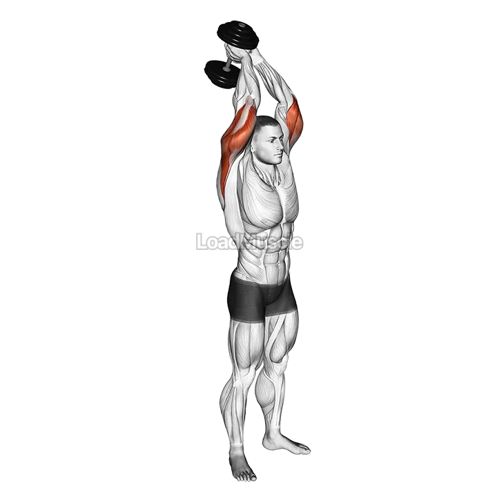Dumbbell Standing Triceps Extension demonstration