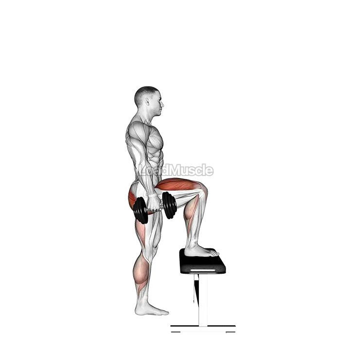 Dumbbell Step up demonstration