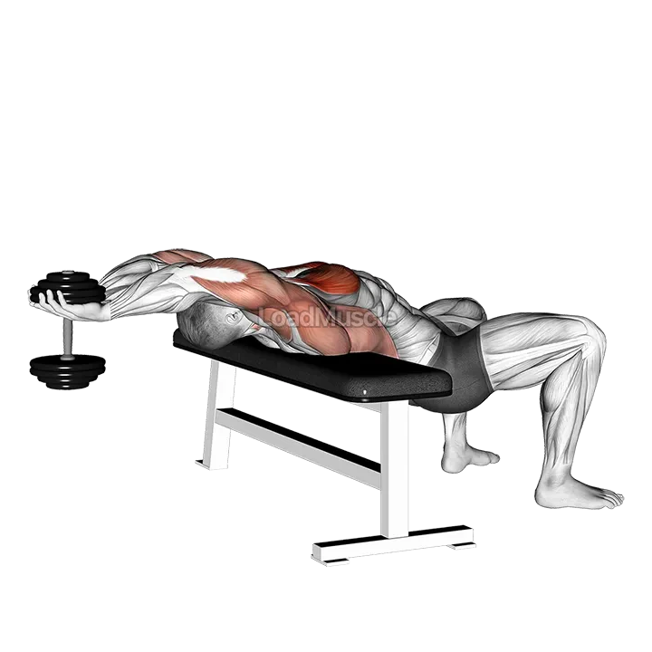 Dumbbell Straight Arm Pullover demonstration