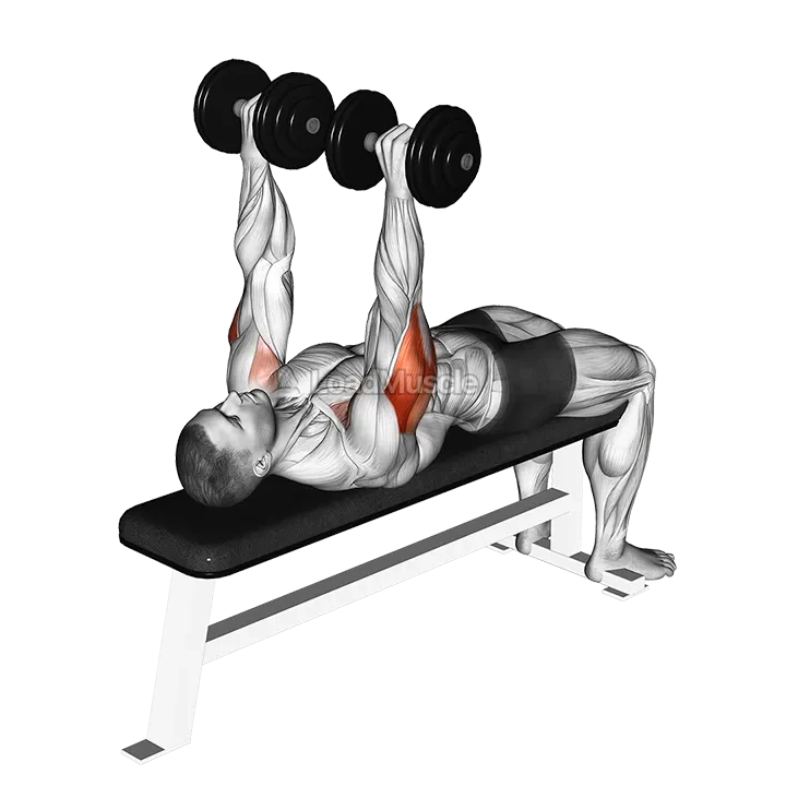 Dumbbell Tate Press demonstration
