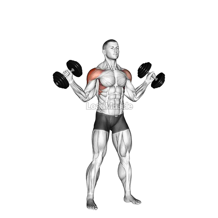 Dumbbell W press demonstration