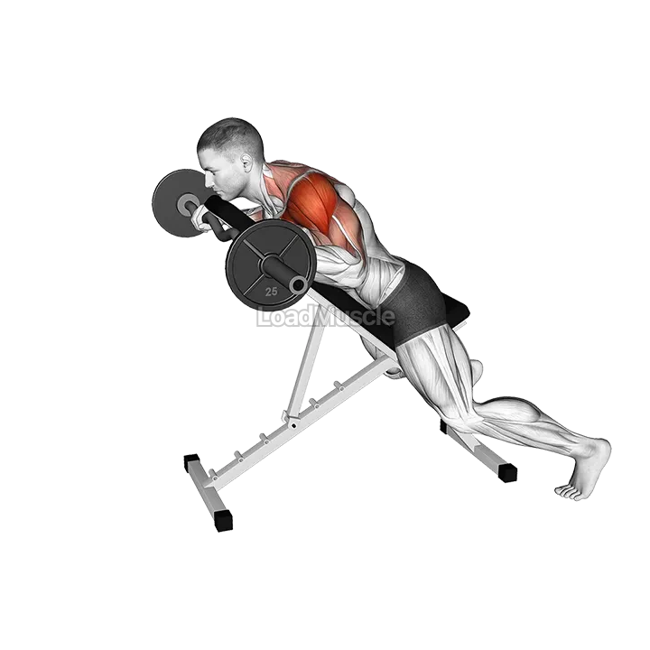 EZ Barbell Anti Gravity Press demonstration