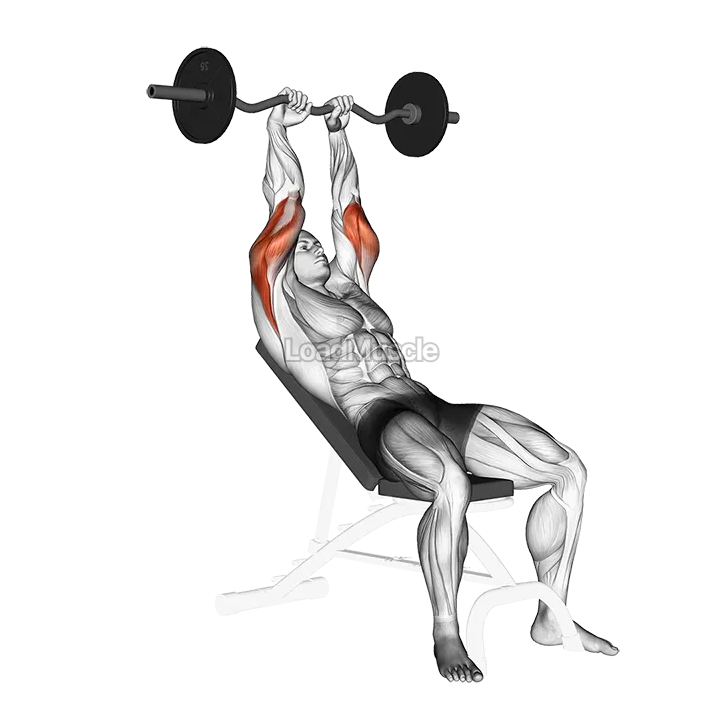 EZ Barbell Incline Triceps Extension demonstration