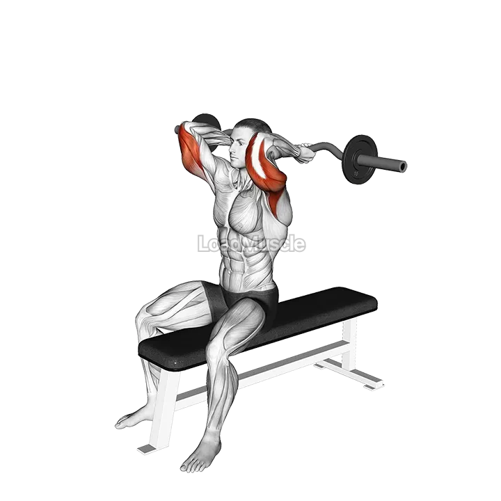 EZ Barbell Seated Triceps Extension demonstration