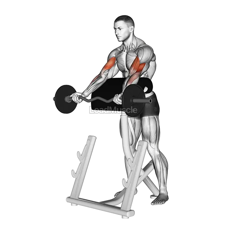 EZ Barbell Spider Curl demonstration