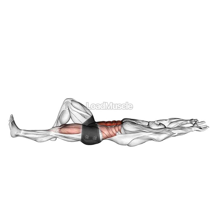 Flexion Leg Sit up (bent knee) demonstration