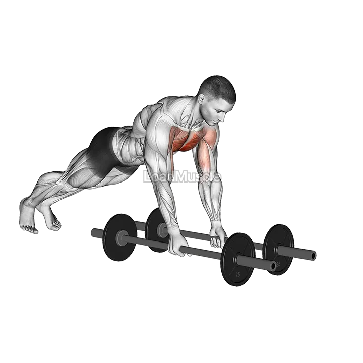 Floor Fly (with barbell) demonstration