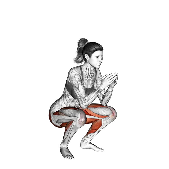 Frog Squat demonstration