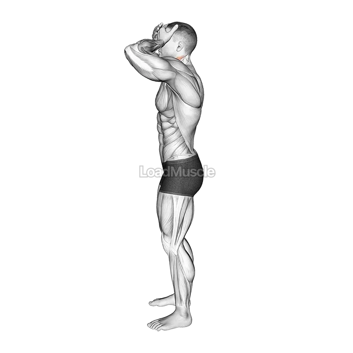 Front and Back Neck Stretch demonstration
