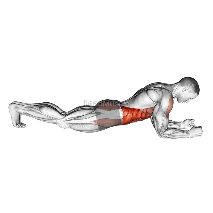 Front Plank demonstration