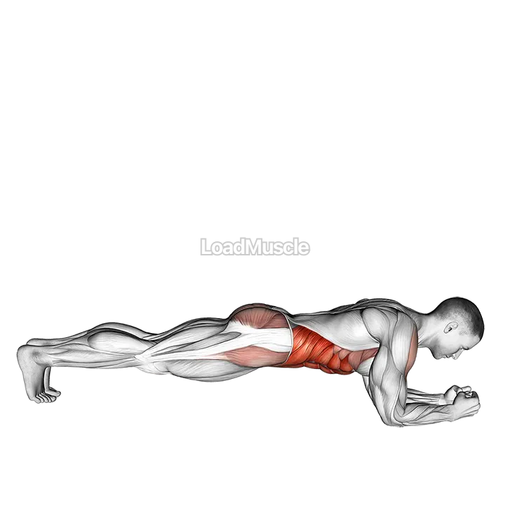 Front Plank with Twist demonstration