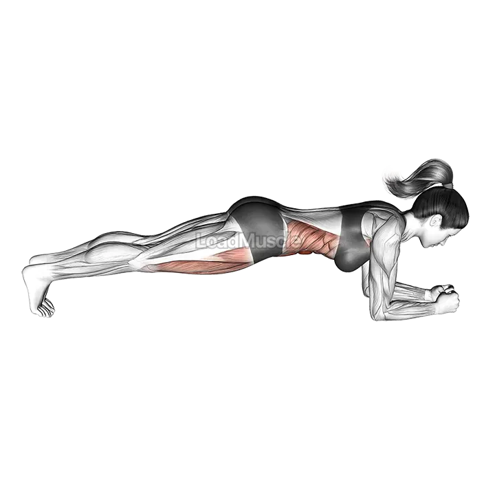 Front Plank demonstration