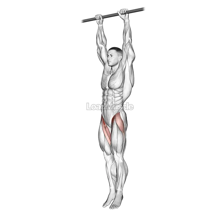 Hanging Leg Raise demonstration