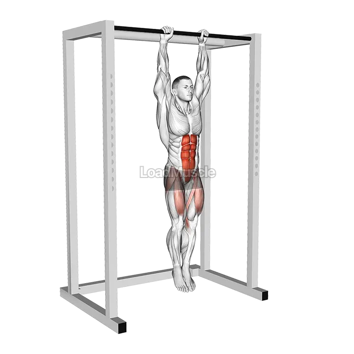 Hanging Straight Leg Raise demonstration